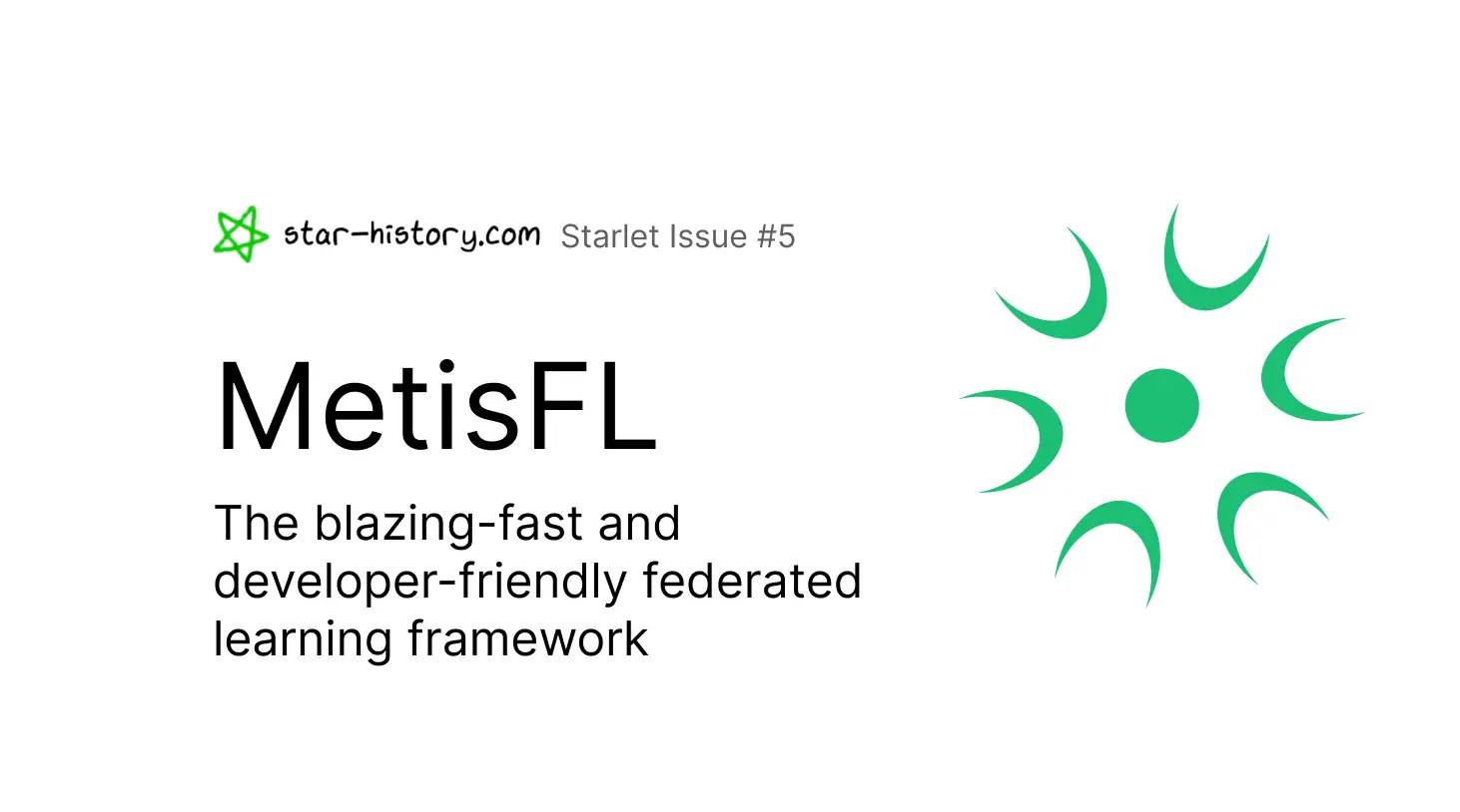 Starlet #5 MetisFL - the blazing-fast and developer-friendly federated learning framework