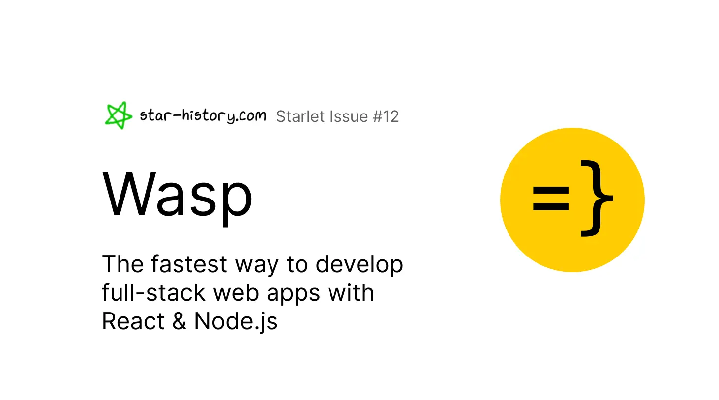 Starlet #12 Wasp: the fastest way to develop full-stack web apps with React & Node.js